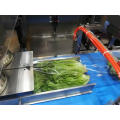 Automatic lettuce flow food bag packing machinery